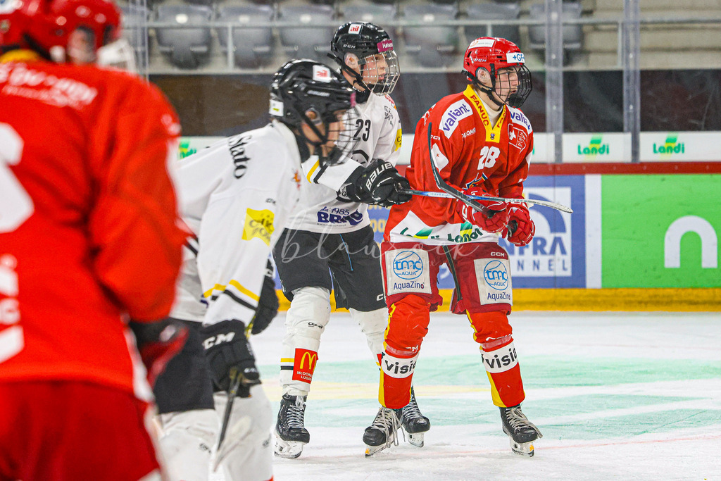 701A3045 | Sportbilder, Sportfotograf, Hochzeits- und Eventfotografin, Flugshows, Portraits und Tiershooting, Aviation, Downhill, Nationalleague, Swissleague, International