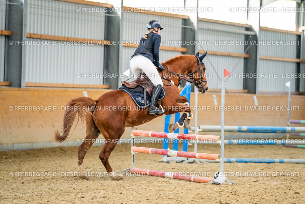 DSC00789 | Pferdegrafie