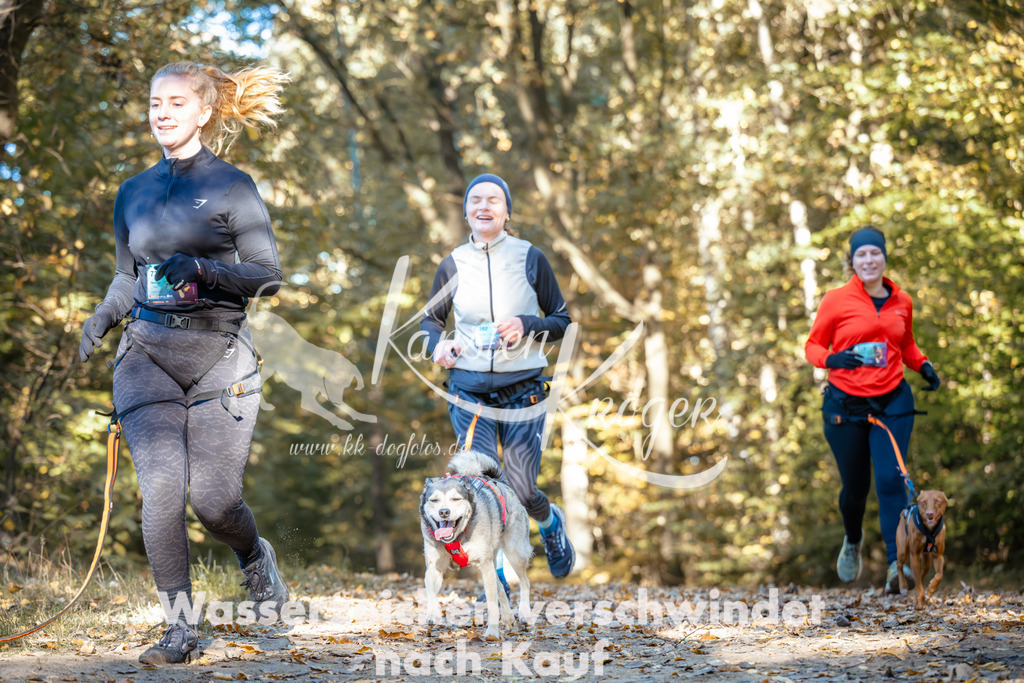 1037_ZZ90572 | kk-dogfotos