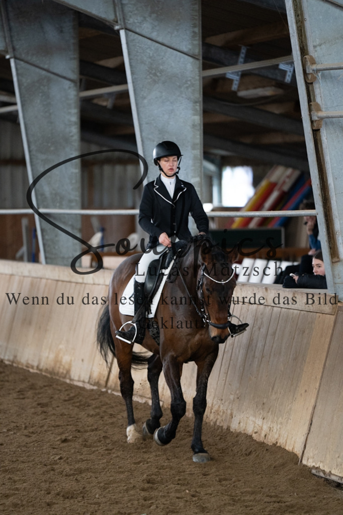 A7V04772 | Pferdefotograf