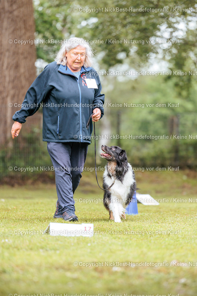 RO-Blumenthal-2026-Nickbest-Hundefotografie-3973 | Dein Hund! Dein Moment! Deine Erinnerungen! Hundefotografie in Bremen Blumenthal. Ich fange die besonderen Momente deines Vierbeiners ein – ob Indoor mit Blitzanlage oder in der freien Natur. Sicher dir dein Moment und dein Termin für eure Erinnerungen.