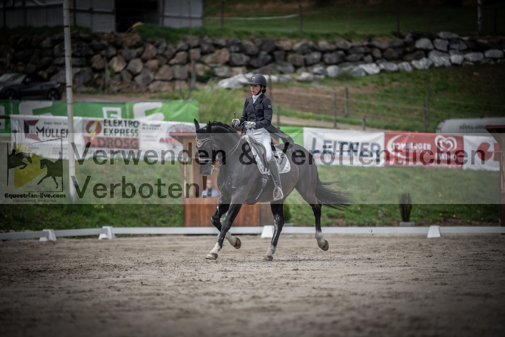 DSC_2735 | equestrian-live-com