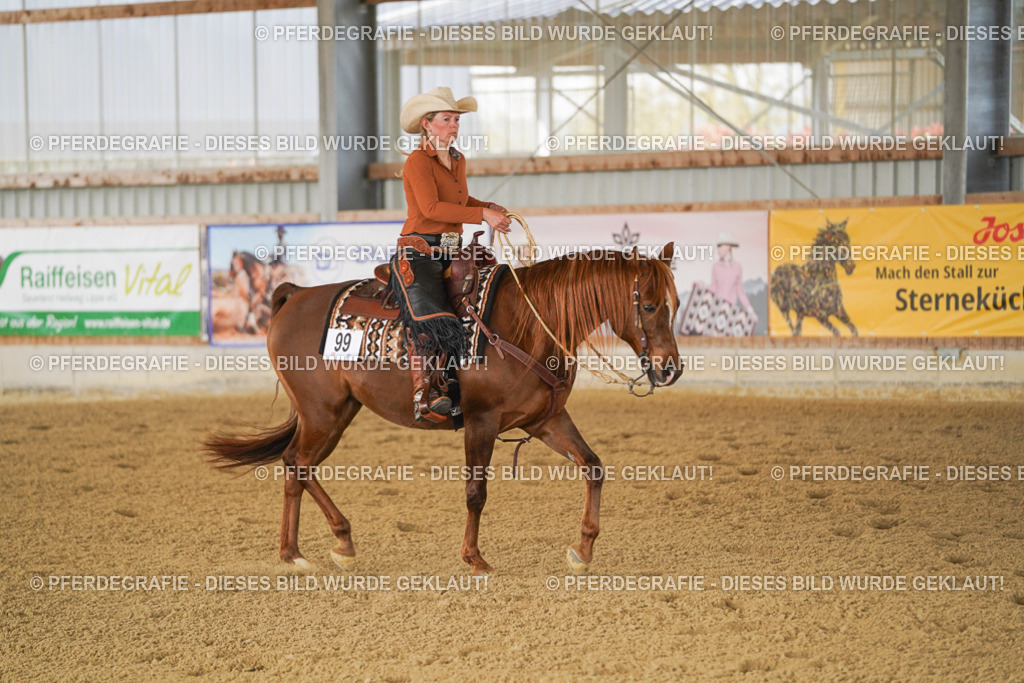 DSC02815 | Pferdegrafie