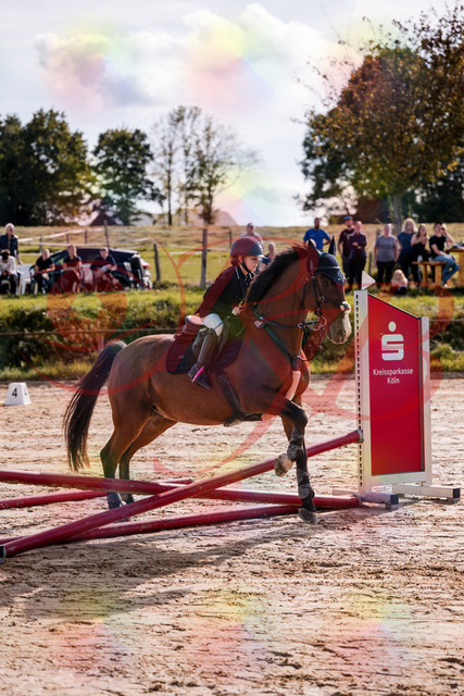 2026_10_03_Siefer-Hof_143754_Z81_06972774 | Professionelle Reitsport-, Turnier- und Eventfotografie von Robert Broda. Galerien mit ausgewählten und bearbeiteten Bildern direkt online ansehen und bestellen.