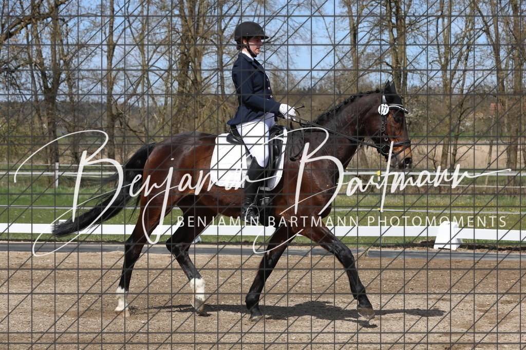 AZ2A3915 | Benjamin Bartmann Photomoments