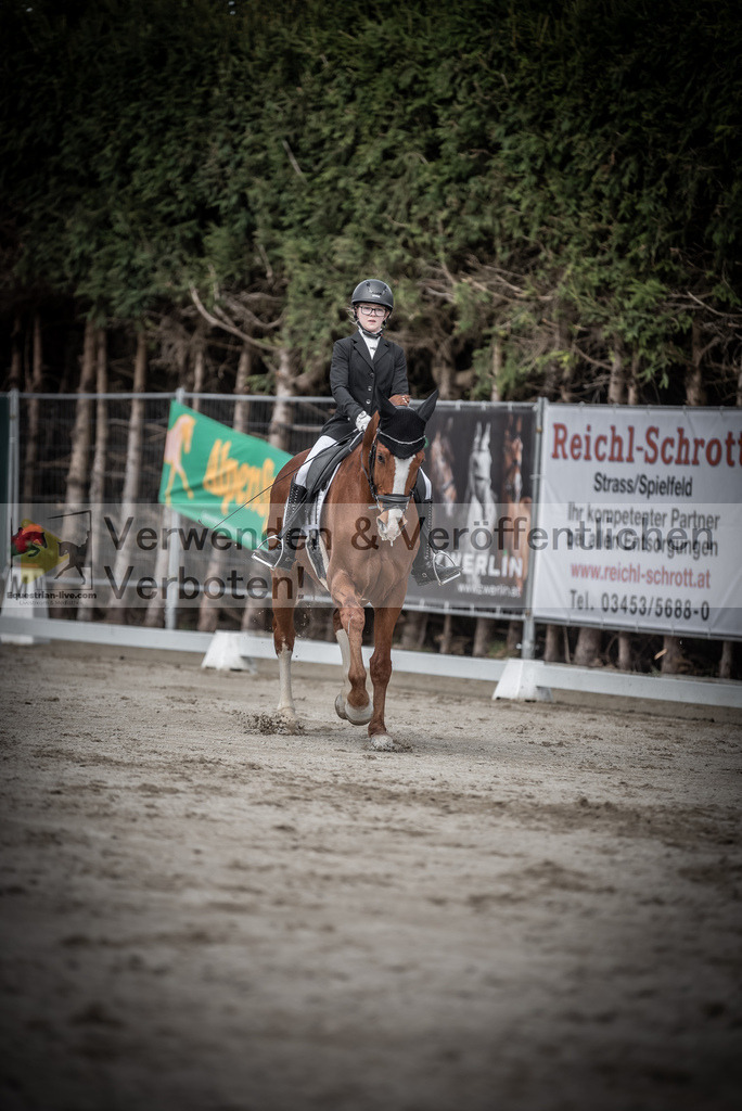 DSC_3264 | equestrian-live-com