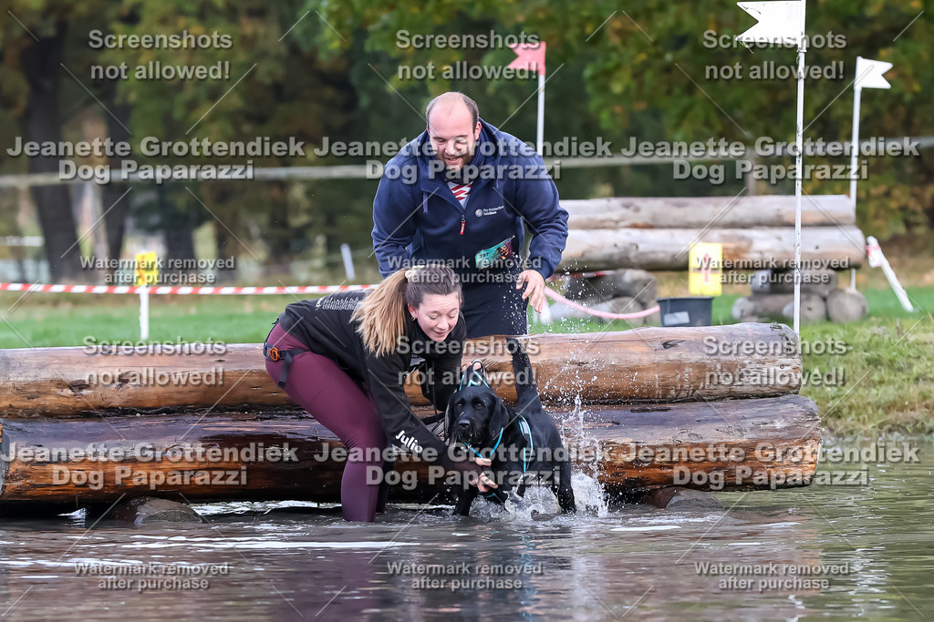 Dog Paparazzi - Strongdog 10-25-6551 | Dog Paparazzi Jeanette Grottendiek Fotografie & Videografie - Realisiert mit Pictrs.com