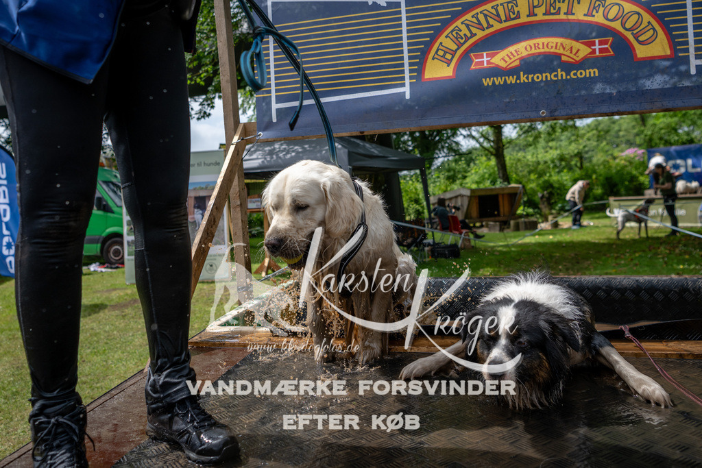1125_ZZ94185 | kk-dogfotos
