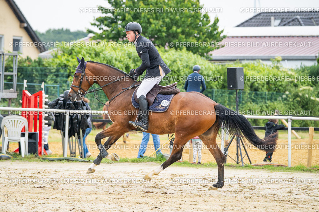 DSC00588 | Pferdegrafie