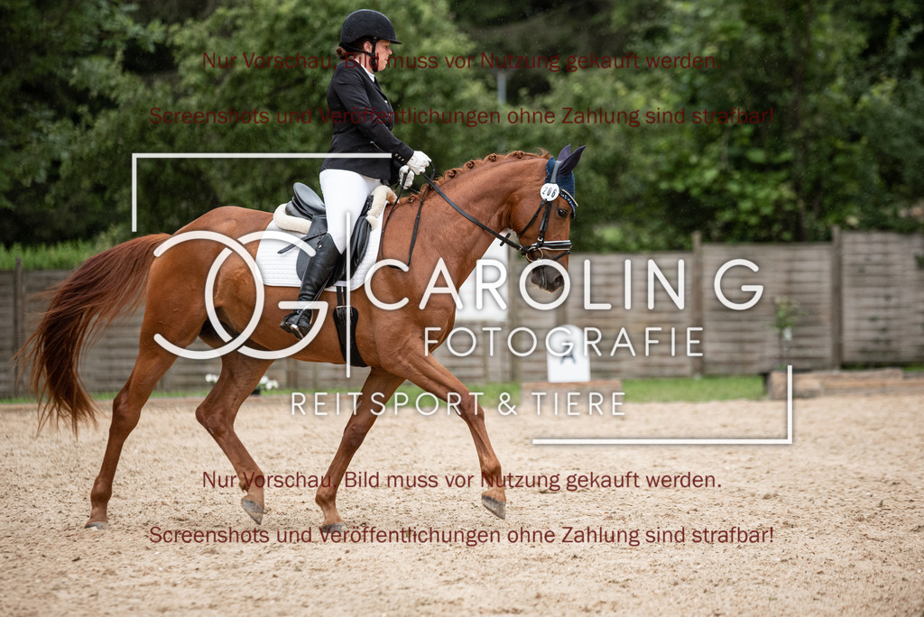 DSC_3198 | Turnierfotografin Carolin Gieschke,Reitsport Turnierfotografie Carolin G Fotografie | Turnierfotos aus Kirchheim/Teck, Esslingen, Stuttgart und dem Bodenseekreis