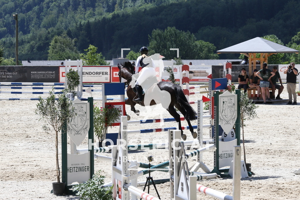 PP017535 | Willkommen bei Brunnmayr - Design & Fotografie – Ihrem Spezialisten für Reitturniere und Pferdeveranstaltungen in Oberösterreich, Salzburg und Bayern! Seit über 17 Jahren sind wir leidenschaftlich dabei.