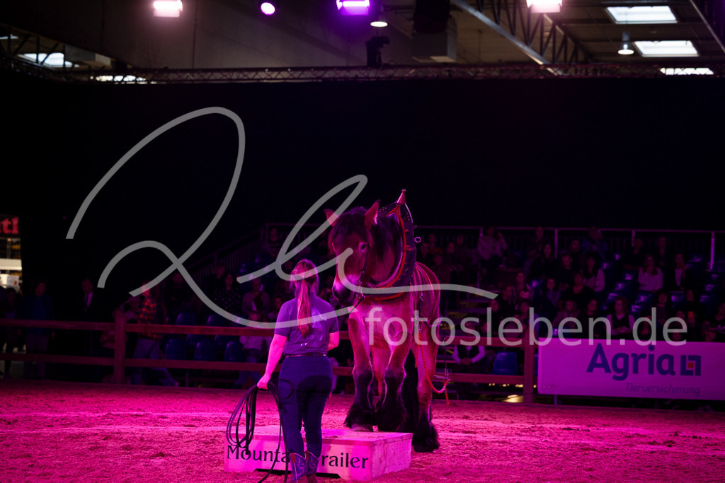 846A6350 | fotosleben - Realisiert mit Pictrs.com