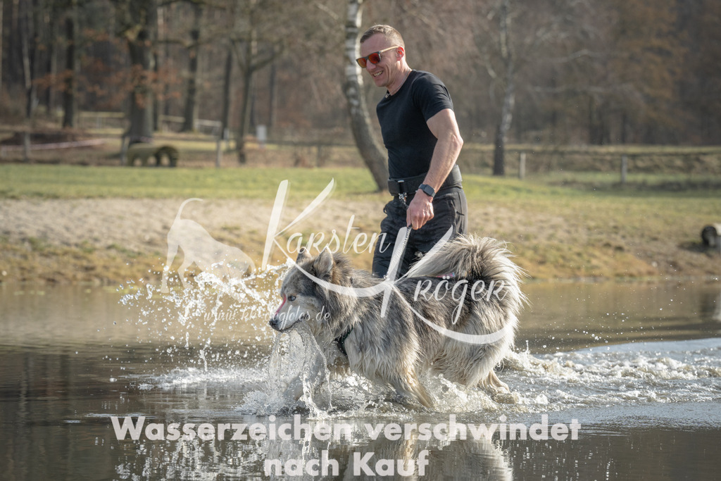 1040_ZZ98794 | kk-dogfotos
