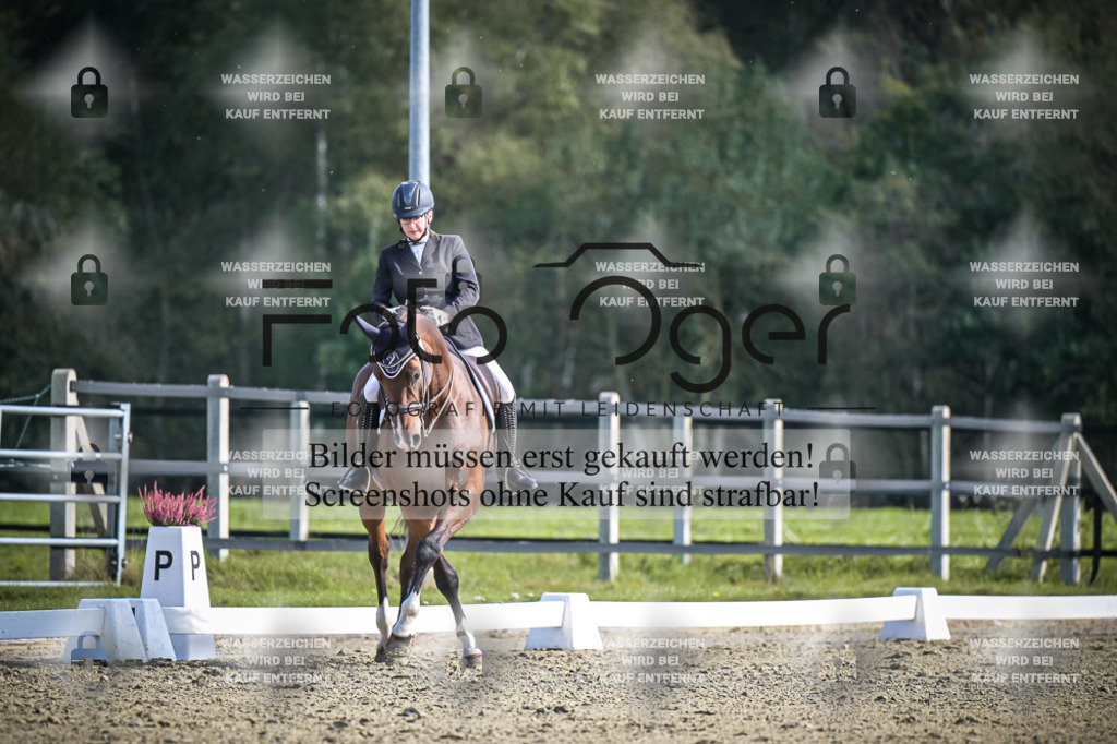 DOS_1066 | Entdecke hochwertige Reitturnierfotos von Foto Oger. Professionell, emotional und authentisch – jetzt Lieblingsmomente im Shop bestellen.Deutschlandweite Turnierfotografie. - Realisiert mit Pictrs.com