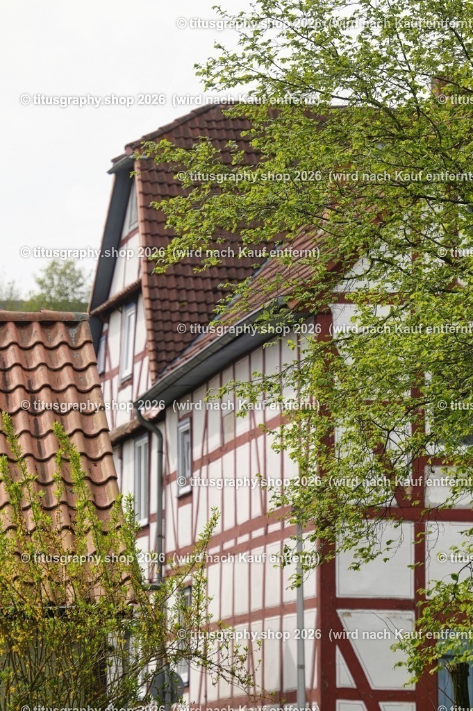 Oberkaufungen | titusgraphy-shop: Geschenkideen mit Qualitätsfotos. titusgraphy-shop: gift ideas with quality photos. titusgraphy-shop: idées cadeaux avec photos de qualité.  - Realisiert mit Pictrs.com