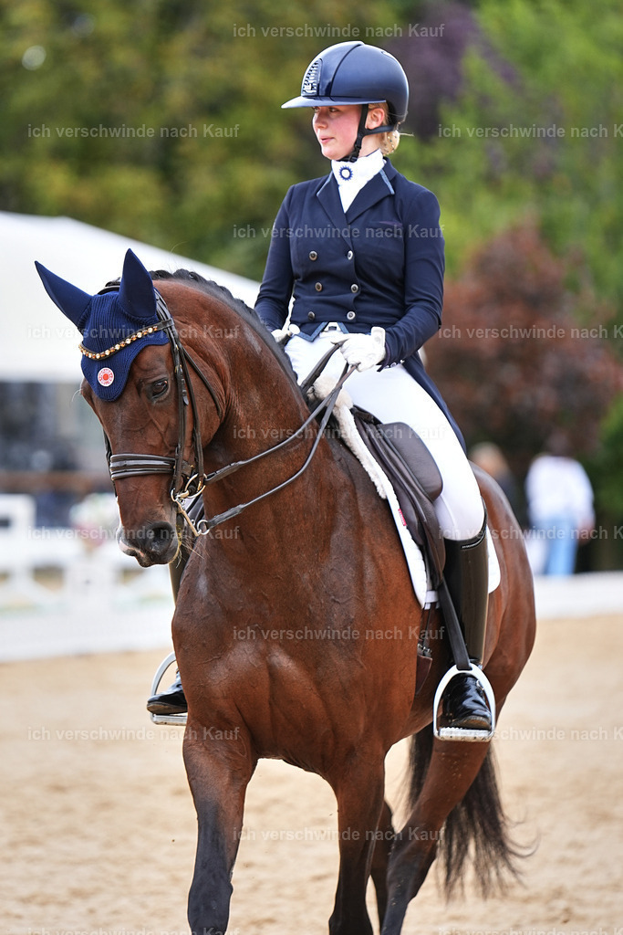 6-196-AMATUER-DRESSUR S_  -Marixx-3719 | working equitationturnier fotograf videograf stoibphotography marixx film working equitation deutschland reitsport turnierfotografie eventfotografie equestrian events