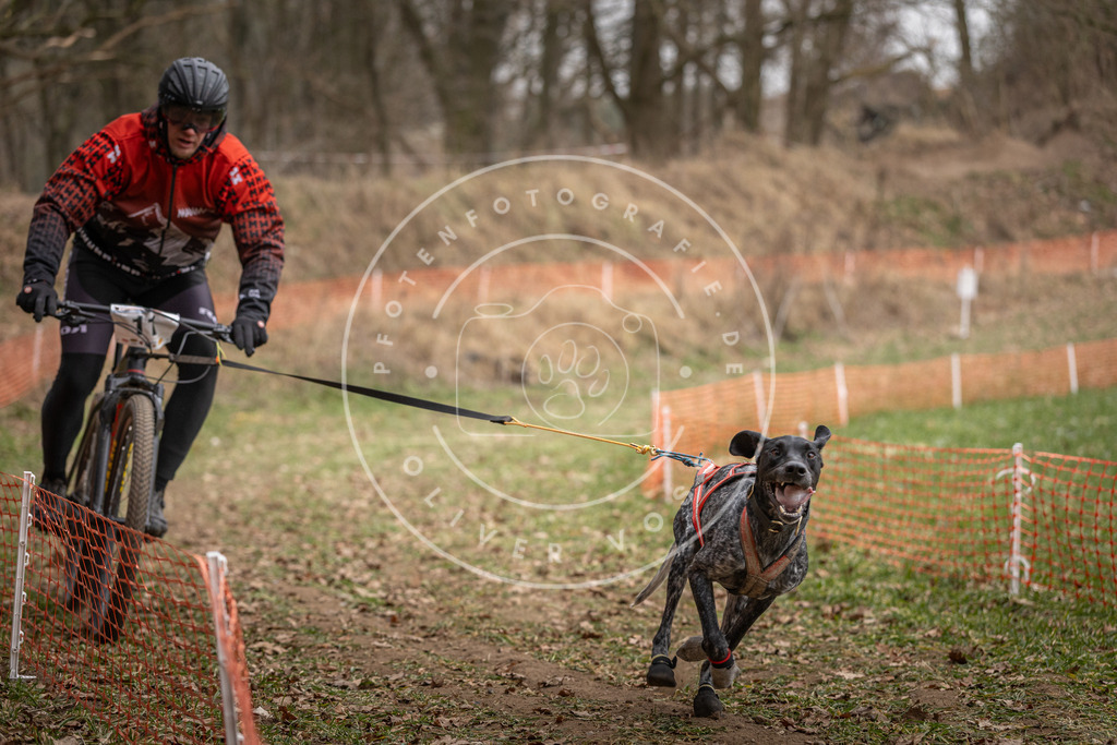Pfotenfotografie_DV3A6756 | Hundefotografie, Tierfotograf, Pfotenfotografie, Fotoshooting Hund, Hunde Portrait, Hundesport, Hundeportraits, Heideshooting, Hunde, Sportfotograf, Hundefotograf, Turnierhundsport, THS,  - Realisiert mit Pictrs.com