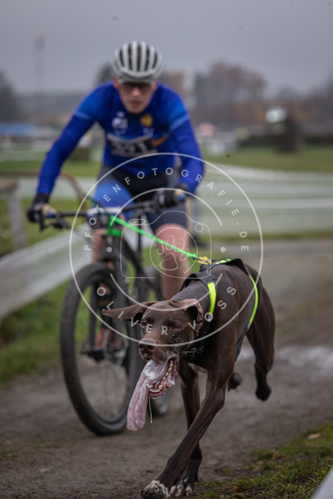 CaniXpix_0L8A1057 | Hundefotografie, Tierfotograf, Pfotenfotografie, Fotoshooting Hund, Hunde Portrait, Hundesport, Hundeportraits, Heideshooting, Hunde, Sportfotograf, Hundefotograf, Turnierhundsport, THS,  - Realisiert mit Pictrs.com