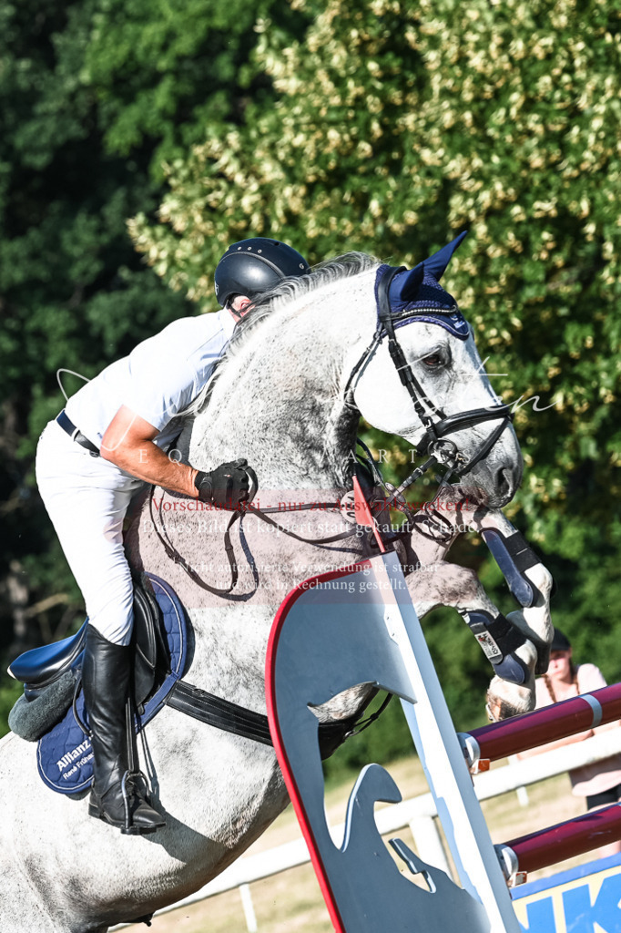 DSC_2807 | Pferde- und Turnierfotografie in Westsachsen. Pferdeportraits, Auftragszeichnungen und intuitive Kunst.