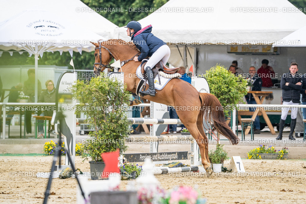 DSC00946 | Pferdegrafie