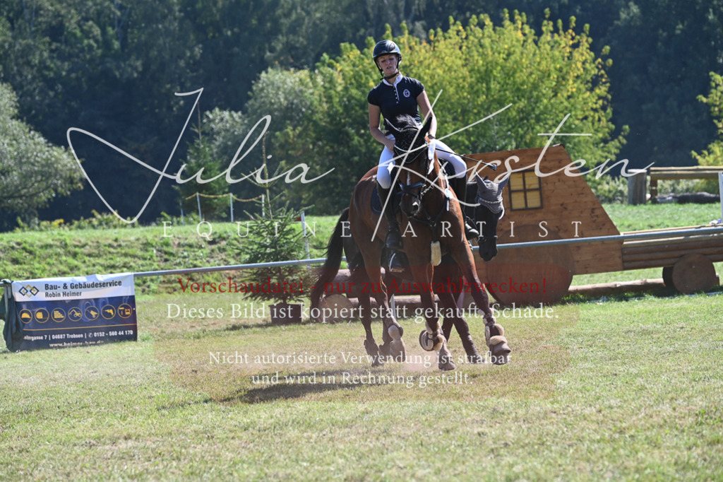 DSC_6510 | Pferde- und Turnierfotografie in Westsachsen. Pferdeportraits, Auftragszeichnungen und intuitive Kunst.