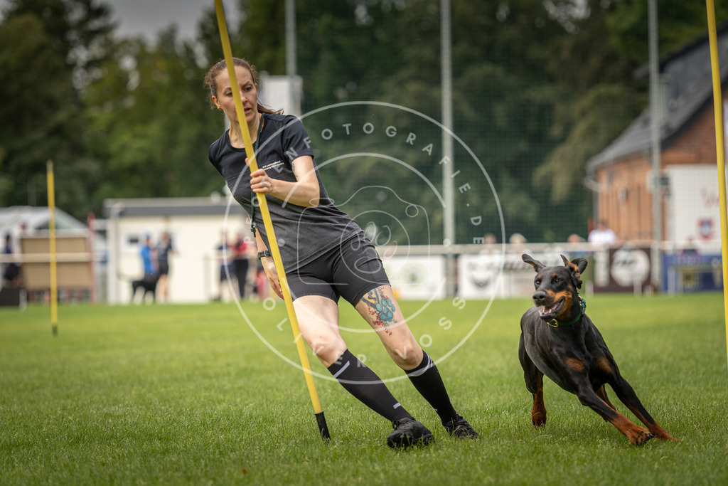 Pfotenfotografie_DV3A0608 | Hundefotografie, Tierfotograf, Pfotenfotografie, Fotoshooting Hund, Hunde Portrait, Hundesport, Hundeportraits, Heideshooting, Hunde, Sportfotograf, Hundefotograf, Turnierhundsport, THS,  - Realisiert mit Pictrs.com