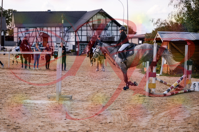 2026_10_03_Siefer-Hof_145130_Z81_30455122 | Professionelle Reitsport-, Turnier- und Eventfotografie von Robert Broda. Galerien mit ausgewählten und bearbeiteten Bildern direkt online ansehen und bestellen.