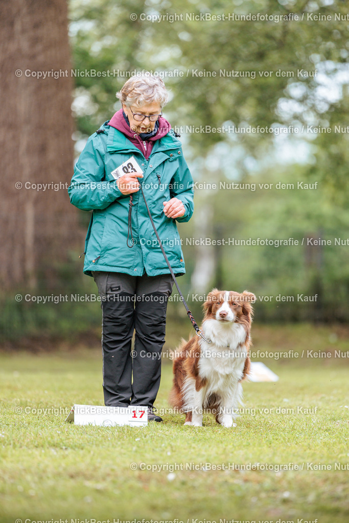 RO-Blumenthal-2026-Nickbest-Hundefotografie-5596 | Dein Hund! Dein Moment! Deine Erinnerungen! Hundefotografie in Bremen Blumenthal. Ich fange die besonderen Momente deines Vierbeiners ein – ob Indoor mit Blitzanlage oder in der freien Natur. Sicher dir dein Moment und dein Termin für eure Erinnerungen.