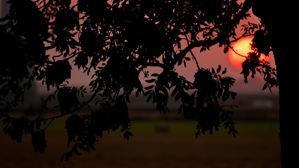 Sonnenuntergang III | kleinen-fotografie
