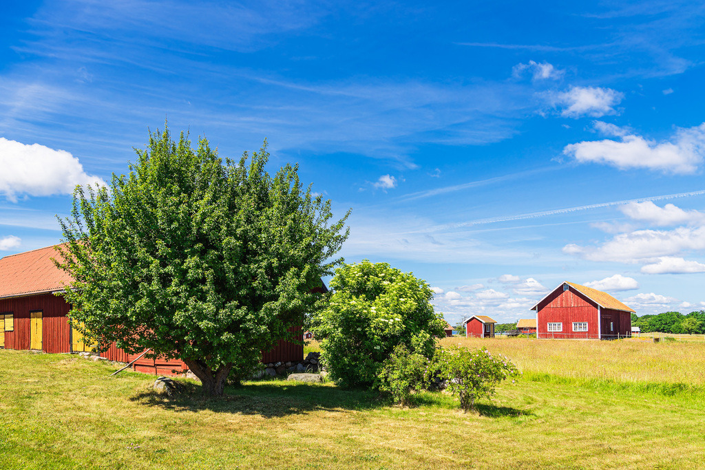 Rote Holzhäuser und Bäume auf der Insel Sladö in Schweden | Rote Holzhäuser und Bäume auf der Insel Sladö in Schweden.