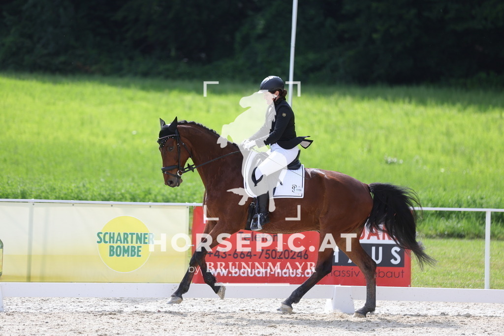 0P6A6167 | Willkommen bei Brunnmayr - Design & Fotografie – Ihrem Spezialisten für Reitturniere und Pferdeveranstaltungen in Oberösterreich, Salzburg und Bayern! Seit über 17 Jahren sind wir leidenschaftlich dabei.