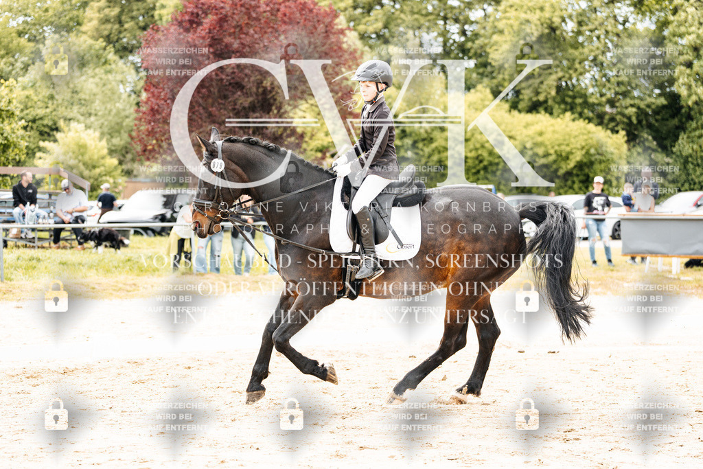 CK904350 | Turnierfotografie Pferdefotografie Trier Rheinland-Pfalz Pferdesport Reitsport Tierfotografie Sportfotografie Pferdevideo Pferdevideografie Equestrianvideography equestrianphotography  - Realisiert mit Pictrs.com