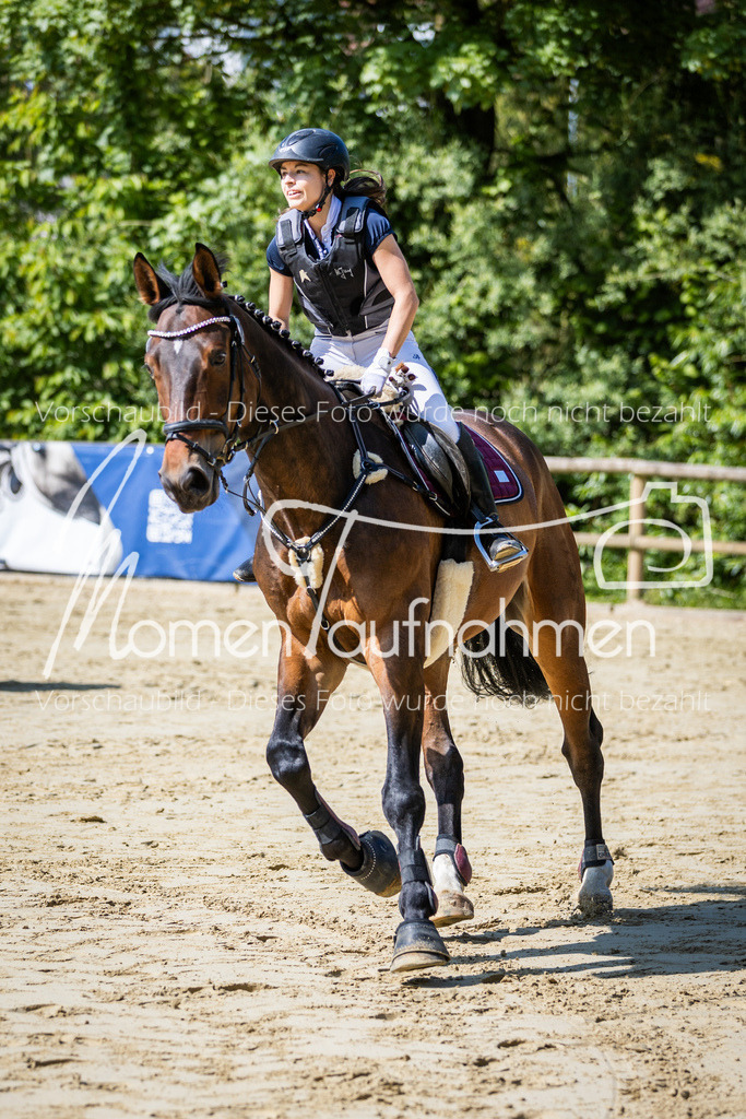 Donop24-ESpr-027 | MomenTaufnahmen Pferdesportfotos