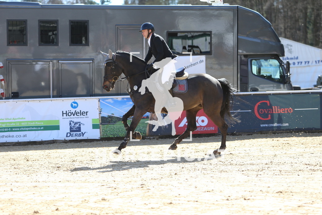 DL2Q4585 | Willkommen bei Brunnmayr - Design & Fotografie – Ihrem Spezialisten für Reitturniere und Pferdeveranstaltungen in Oberösterreich, Salzburg und Bayern! Seit über 17 Jahren sind wir leidenschaftlich dabei.