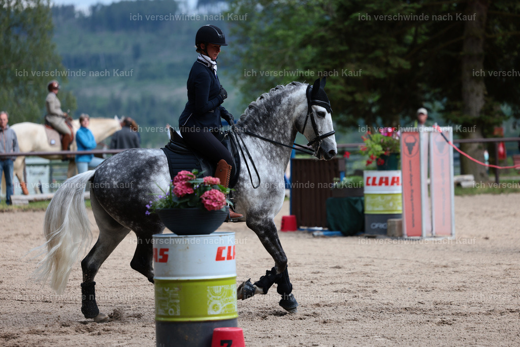 Masterclass_stoibphotography_C2_L6936.JPG | working equitationturnier fotograf videograf stoibphotography marixx film working equitation deutschland reitsport turnierfotografie eventfotografie equestrian events