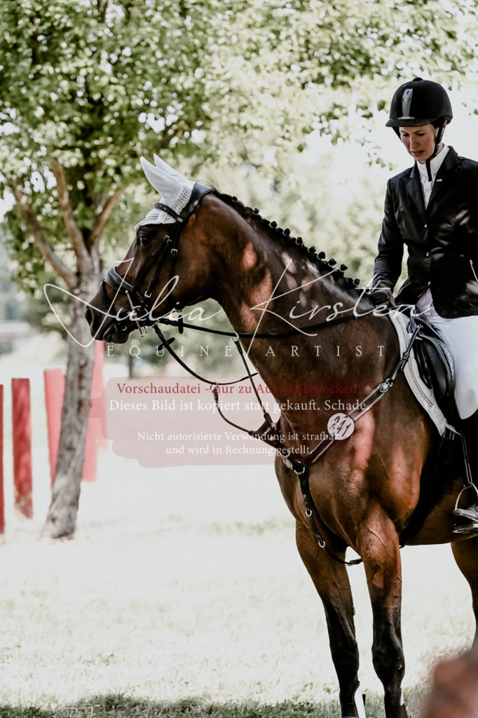 DSC_9495 | Pferde- und Turnierfotografie in Westsachsen. Pferdeportraits, Auftragszeichnungen und intuitive Kunst.