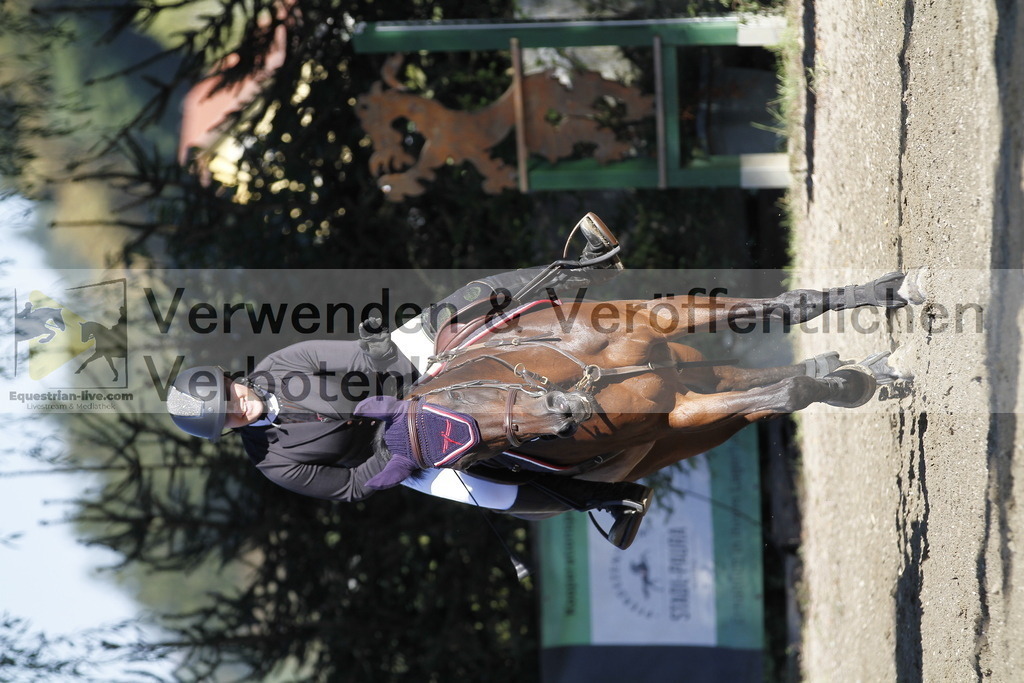 _MG_4409 | equestrian-live-com