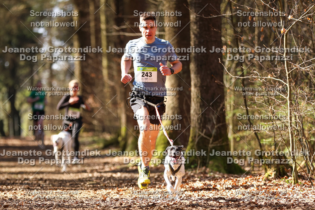 Dog Paparazzi - VCC26-1112 | Dog Paparazzi Jeanette Grottendiek Fotografie & Videografie - Realisiert mit Pictrs.com