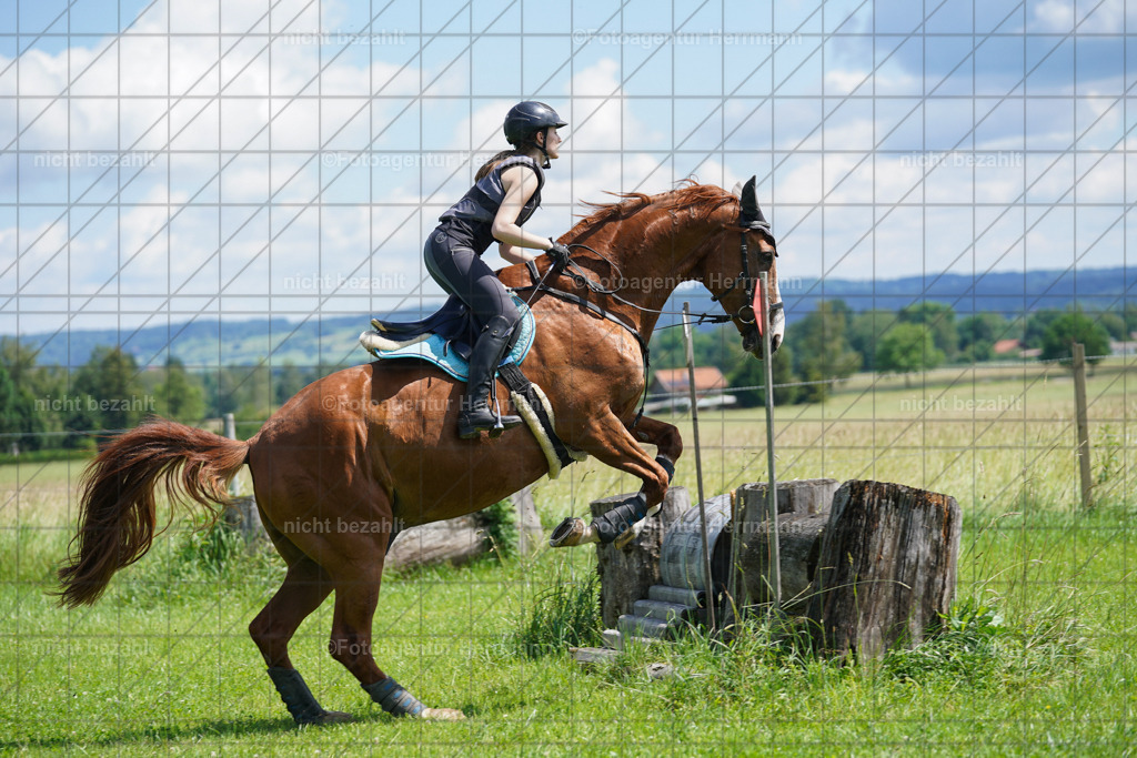 20240622-FAH06800 | Turnierfotografen Bayern, Reitsportbilder aus dem Geländekurs mit Felix Etzel auf dem Gut Waitzacker 2024