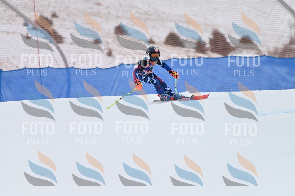 BGV_1468 | holidayphoto