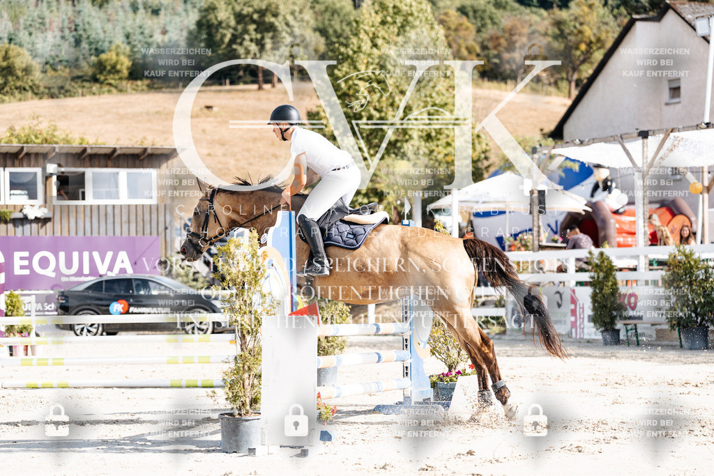 CK909173 | Turnierfotografie Pferdefotografie Trier Rheinland-Pfalz Pferdesport Reitsport Tierfotografie Sportfotografie Pferdevideo Pferdevideografie Equestrianvideography equestrianphotography  - Realisiert mit Pictrs.com