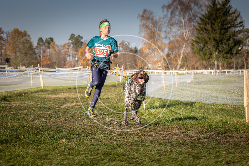 CaniXpix_0L8A8826 | Hundefotografie, Tierfotograf, Pfotenfotografie, Fotoshooting Hund, Hunde Portrait, Hundesport, Hundeportraits, Heideshooting, Hunde, Sportfotograf, Hundefotograf, Turnierhundsport, THS,  - Realisiert mit Pictrs.com