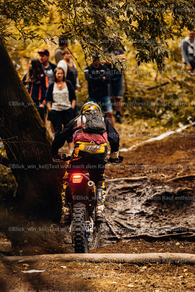 E68A6034 | blick_win_kel