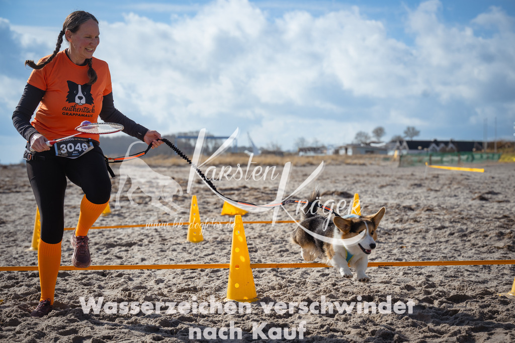 1251_ZZ99230 | kk-dogfotos