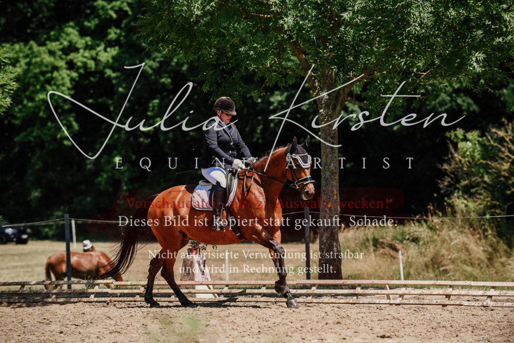 DSC_2021 | Pferde- und Turnierfotografie in Westsachsen. Pferdeportraits, Auftragszeichnungen und intuitive Kunst.