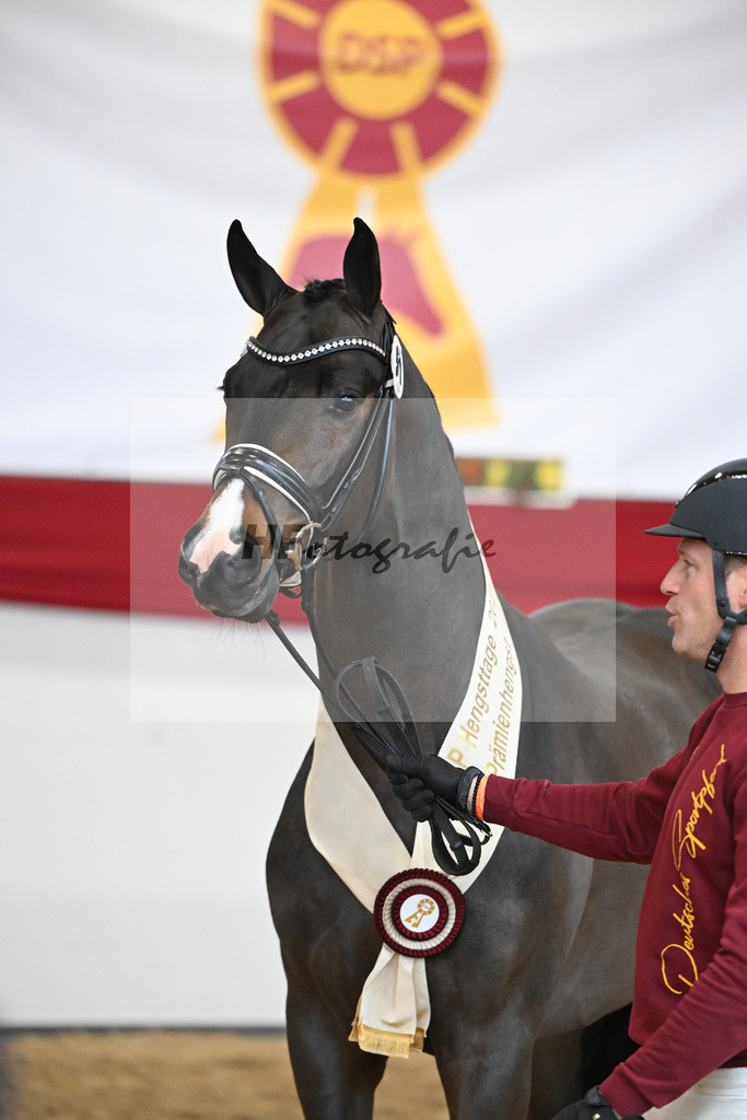Kat.-Nr. 51 v. Donkey Boy_Lenzen_2251875 | hf-fotografie - Realisiert mit Pictrs.com