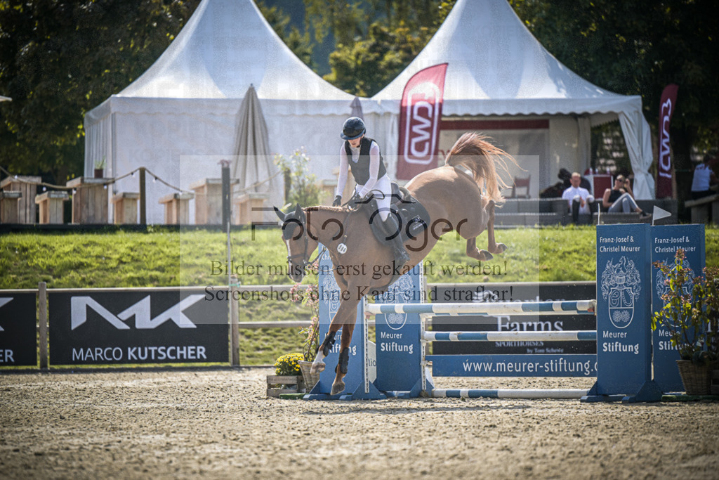 DOS_8463 | Entdecke hochwertige Reitturnierfotos von Foto Oger. Professionell, emotional und authentisch – jetzt Lieblingsmomente im Shop bestellen.Deutschlandweite Turnierfotografie. - Realisiert mit Pictrs.com