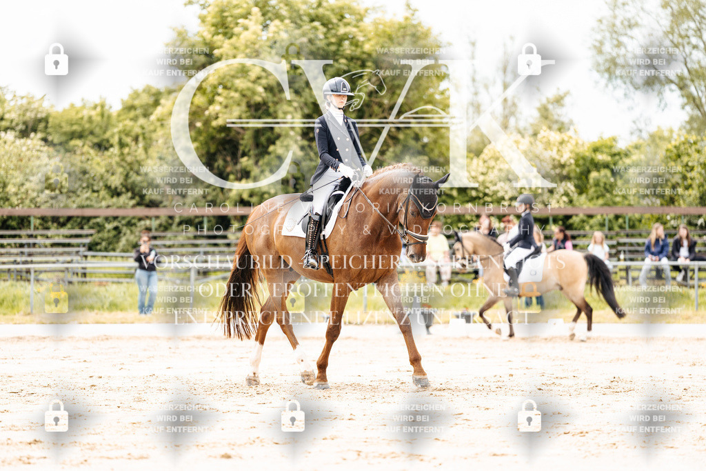 CK902766 | Turnierfotografie Pferdefotografie Trier Rheinland-Pfalz Pferdesport Reitsport Tierfotografie Sportfotografie Pferdevideo Pferdevideografie Equestrianvideography equestrianphotography  - Realisiert mit Pictrs.com