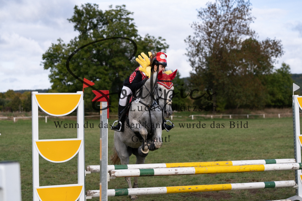 A7V06564 | Pferdefotograf