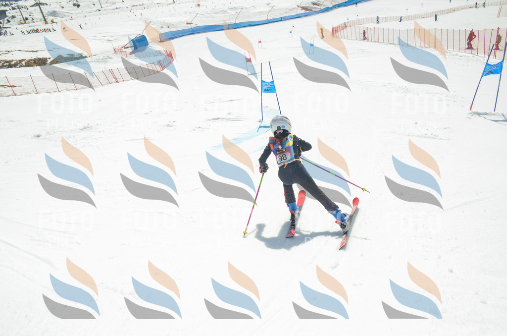 _ELE5761 | holidayphoto